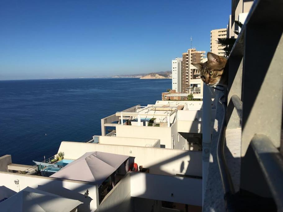 Piso En La Primera Linea Del Mar Con 2 Dormitorios Benidorm Ngoại thất bức ảnh
