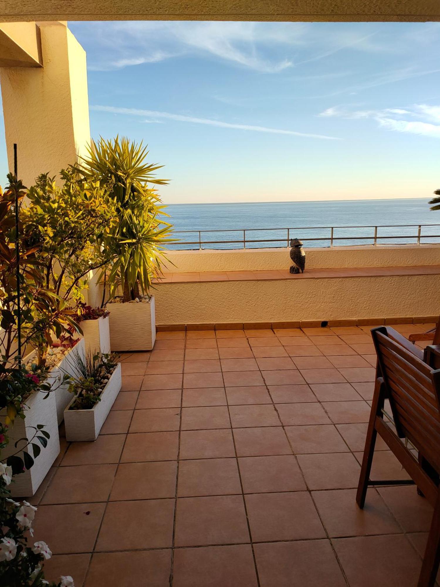 Piso En La Primera Linea Del Mar Con 2 Dormitorios Benidorm Ngoại thất bức ảnh